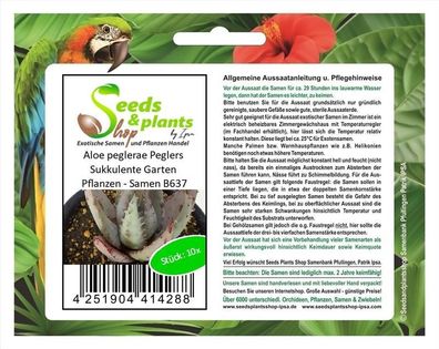 10x Aloe peglerae Peglers Sukkulente Garten Pflanzen - Samen B637