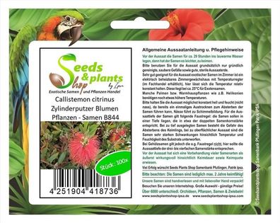 100x Callistemon citrinus Zylinderputzer Blumen Pflanzen - Samen B844