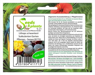 15x Lithops schwantesii Sukkulenten Garten Pflanzen - Samen B1731