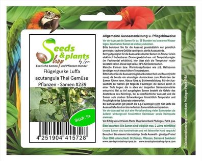 5x Flügelgurke Luffa acutangula Thai Pflanze Samen Gemüse Garten #239