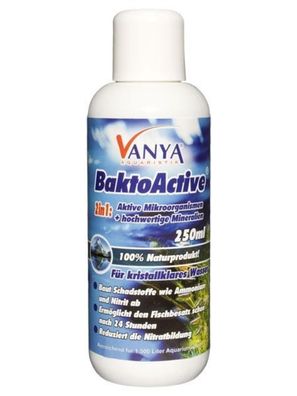 VANYA BaktoActive 500 ml 'allround' Pflegemittel