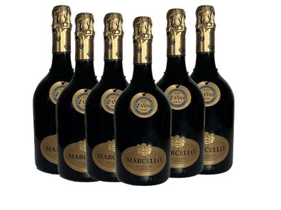 Ariola Marcello Lambrusco Oro IGP, Bester roter Schaumwein der Welt, 6 Flaschen