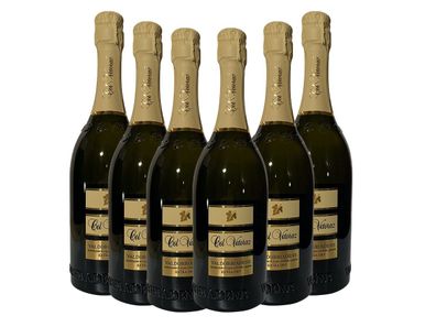Col Vetoraz Prosecco Spumante superiore extra dry DOCG 2021, 6 Flaschen