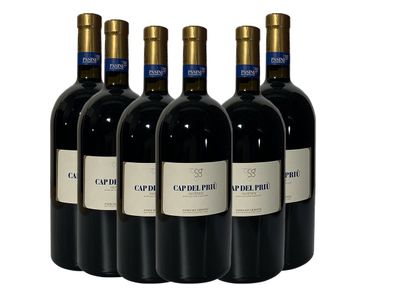 Pasini San Giovanni Cap del Priu Rot DOC 2015, 6 Flaschen