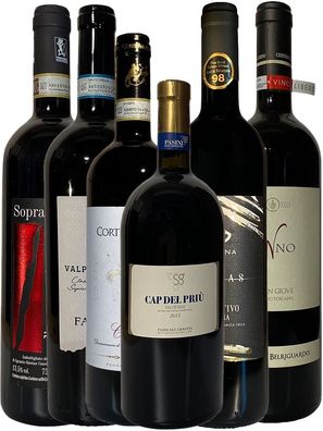 6 Flaschen Kennenlernpaket hochwertige italienische Rotweine