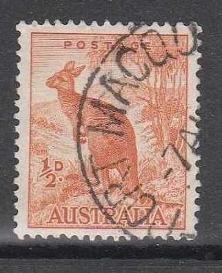Australien - Motiv - Riesenkänguru gestempelt o