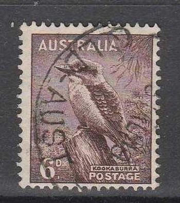 Motiv Australien - Vögel Kookaburra o (3)
