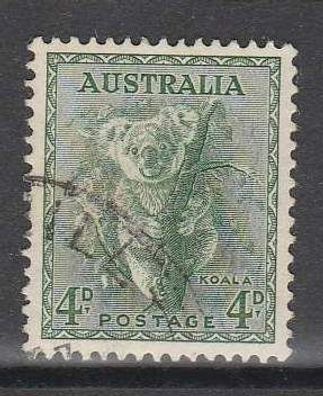 Motiv Australien - Koala o (2)