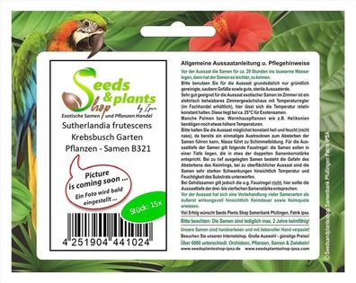 15x Sutherlandia frutescens Krebsbusch Garten Pflanzen - Samen B321