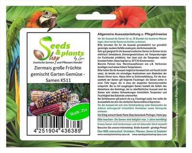 25x Ziermais große Früchte gemischt Garten Gemüse - Samen K511