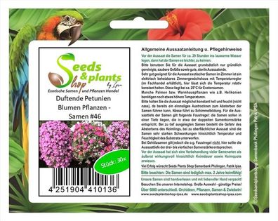 30x Duftende Petunien Blumen Pflanzen - Samen #46