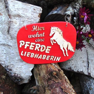 Pferde Liebhaberin ein Geschenk für Mädchen aus Holz mit Holz Buchstaben