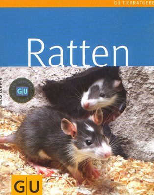 Ratten - Tierratgeber