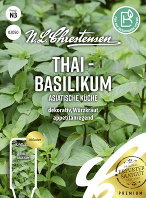 Thai Basilikum Samen Saatgut Kräuter Ocimum Chrestensen