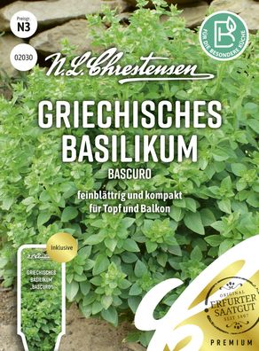 Griechisches Basilikum Bascuro Samen Saatgut Kräuter Ocimum Chrestensen