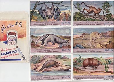 Liebigbilder Serie 1102 "Seltsame Säugetiere" komplett 1937 (109170)