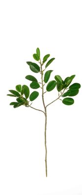 ASA Ficus blattzweig DEKO L 48 cm 66468444