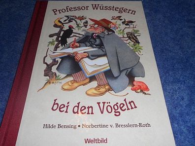 Professor Wüsstegern bei den Vögeln -sehr schönes Bilderbuch in Versen geschrieben