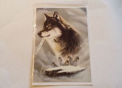 Grußkarte Klappkarte Ansichtskarte mit Umschlag Postkarte Sammler Karte Motiv "Wölfe"