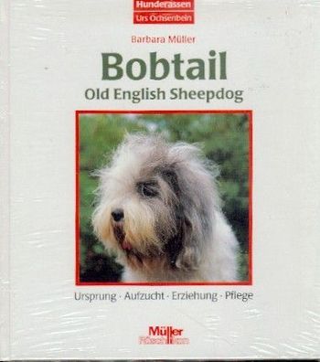 Bobtail Old Englisch Sheepdog