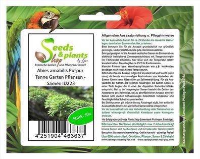 10x Abies amabilis Purpur-Tanne Pflanzen - Samen ID223