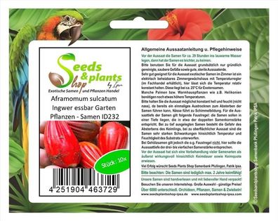 10x Aframomum sulcatum Ingwer essbar Garten Pflanzen - Samen ID232