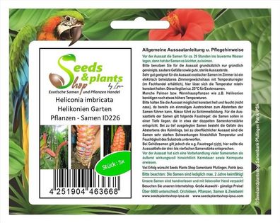 5x Heliconia imbricata Helikonien Garten Pflanzen - Samen ID226