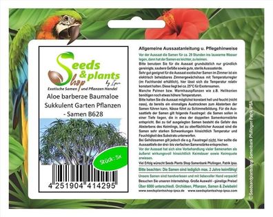 5x Aloe barberae Baumaloe Sukkulent Garten Pflanzen - Samen B628