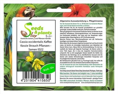 10x Cassia occidentalis Kaffee Kassie Strauch Pflanzen - Samen ID22