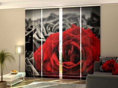 Foto-Schiebegardine rote Rose auf s/ w, Flächenvorhang mit Motiv, Gardine auf Maß