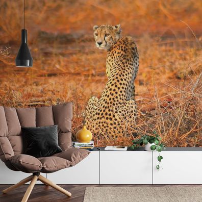 A.S. Création Vlies Fototapete Leopard Leopard Safari DD118918 Tiere Designwalls