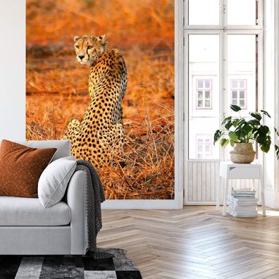 A.S. Création Vlies Fototapete Leopard Leopard Safari DD119074 Tiere Designwall