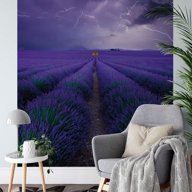 A.S. Création Vlies Fototapete Lavendel Field Lavender DD119090 Natur Designwall