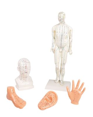 Akupunkturfigur, Set Akupunktur Figur, 5 Modelle, TCM