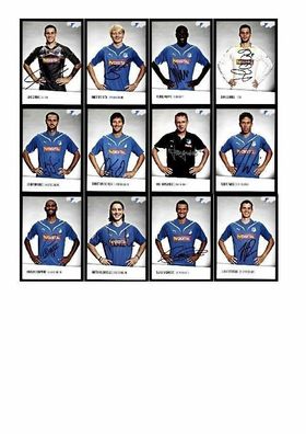 Autogrammkartensatz TSG Hoffenheim 2010-11 19 Karten Original Signiert(83)
