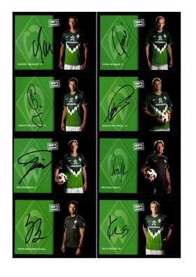 Autogrammkartensatz Werder Bremen 2010-11 16 Karten Original Signiert(1350)