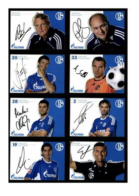 Autogrammkartensatz FC Schalke 04 2008-09 18 Karten Original Sign(3802)
