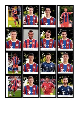 Autogrammkartensatz Bayern München Amateure 2014-15