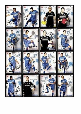 Autogrammkartensatz TSG Hoffenheim 2012-13 33 Karten Original Signiert(81)