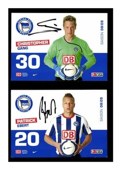 Autogrammkartensatz Hertha BSC Berlin 2008-09 18 Karten Original Sign(3827)
