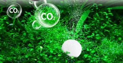 20 CO2 Tabletten, Kohlendioxid-Table Anlage Oxy gesunde Aquarium Pflanzen Dünger
