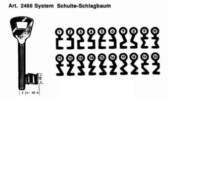 Buntbartschlüssel Artikel 2466 System Schulte-Schlagbaum Nummer 1 - 20