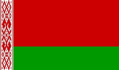 Fahne Flagge Belarus Premiumqualität