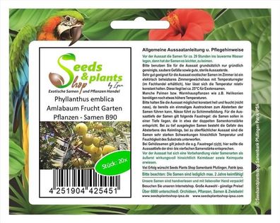 20x Phyllanthus emblica Amlabaum Frucht Garten Pflanzen - Samen B90