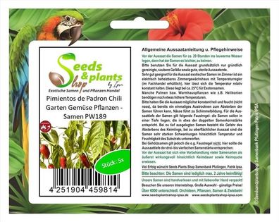 5x Pimientos de Padron Chili Garten Gemüse Pflanzen - Samen PW189