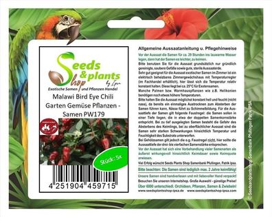 5x Malawi Bird Eye Chili Garten Gemüse Pflanzen - Samen PW179