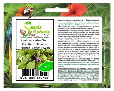 5x Czechoslovakian Black Chili Garten Gemüse Pflanzen - Samen PW230