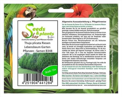 15x Thuja plicata Riesen Lebensbaum Garten Pflanzen - Samen B348