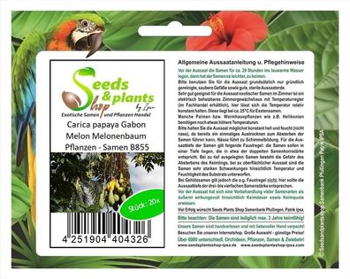 20x Carica papaya Gabon Melon Melonenbaum Pflanzen - Samen B855