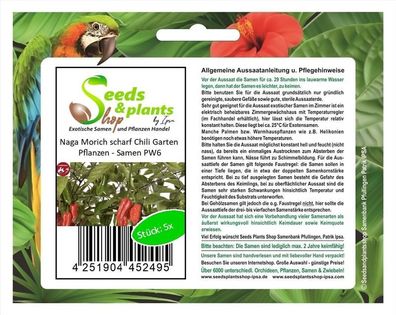5x Naga Morich scharf Chili Garten Pflanzen - Samen PW6